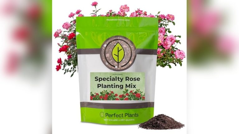 Best Potting Soil For Roses In Containers