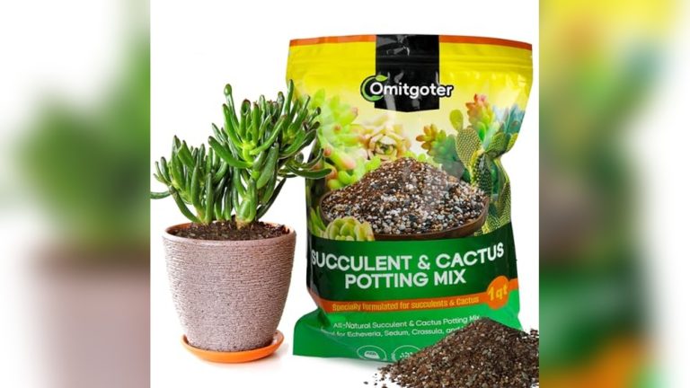 Best Potting Soil For String Of Pearls