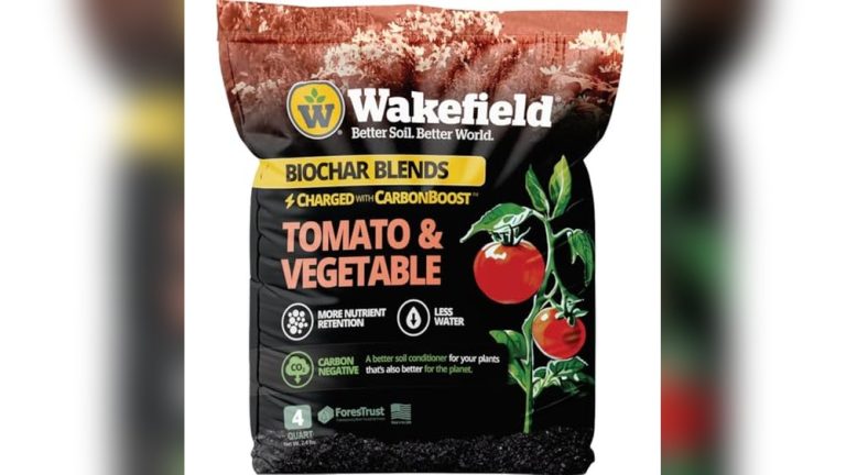 Best Potting Soil For Tomatoes In Containers