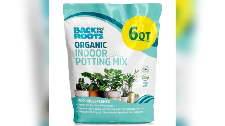 Best Potting Soil Mix For Indoor Plants