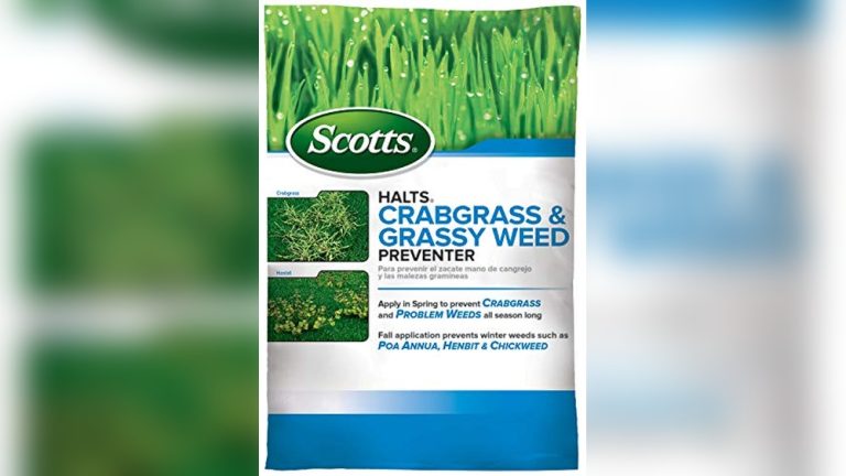 Best Pre Emergent Weed Killer For Lawns