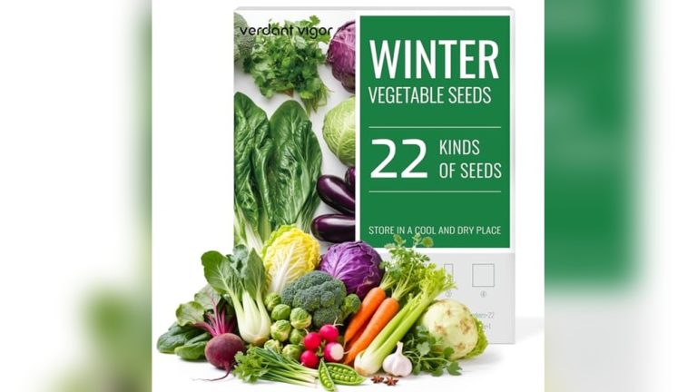 Best Seeds For Winter Sowing In Milk Jugs