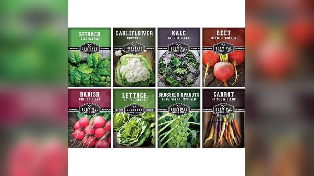 Best Seeds For Winter Sowing In Zone 5