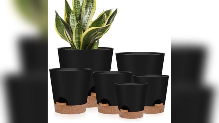 Best Self Watering Pots For Indoor Plants