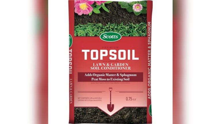Best Soil For Filling Holes In Lawn