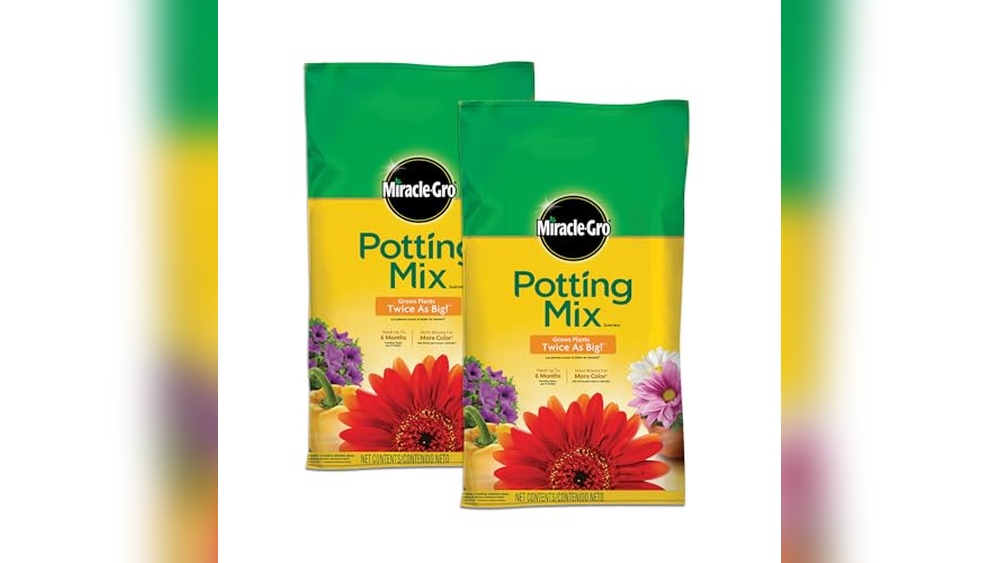 Best Soil For Sweet Potatoes In Containers