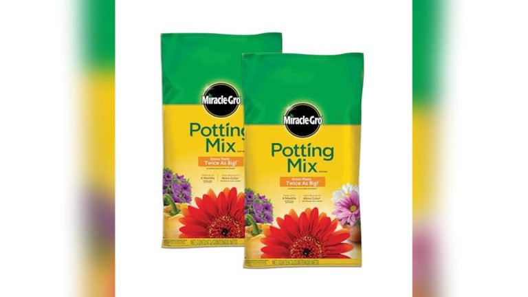 Best Soil For Vegetable Garden In Pots