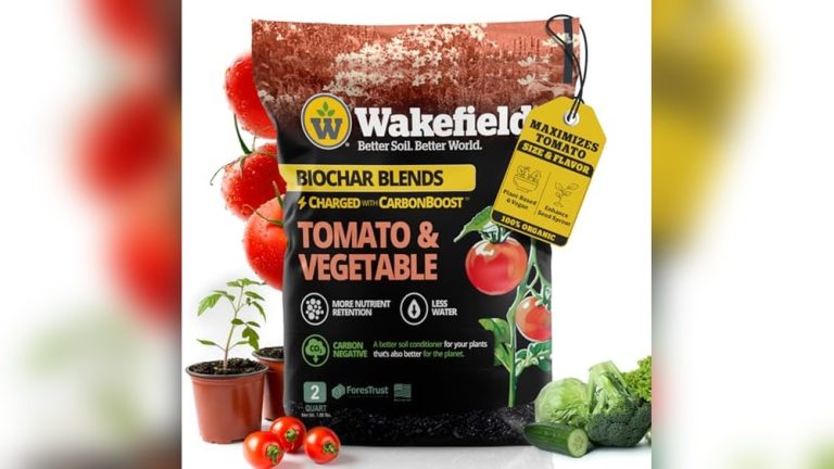 Best Soil Mix For Raised Bed Tomatoes