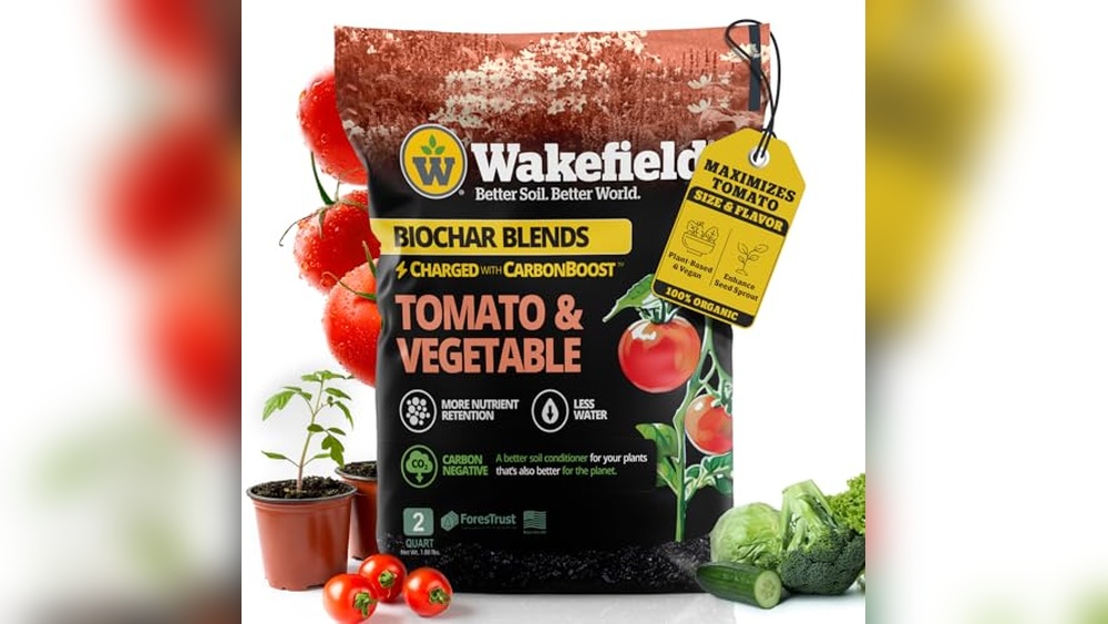 Best Soil Mix For Raised Bed Tomatoes