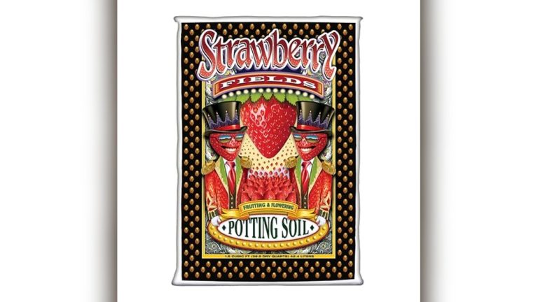 Best Soil Mix For Strawberries In Raised Beds