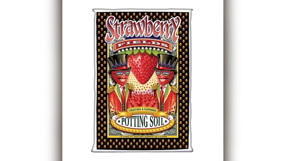 Best Soil Mix For Strawberries In Raised Beds