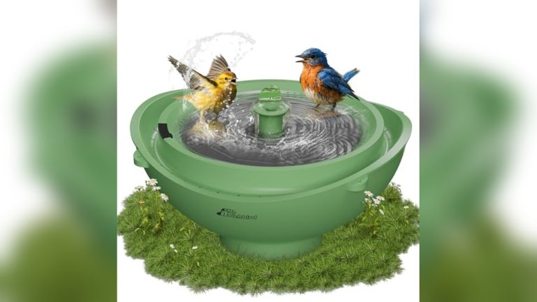 Best Solar Bird Bath Fountain With Battery Backup