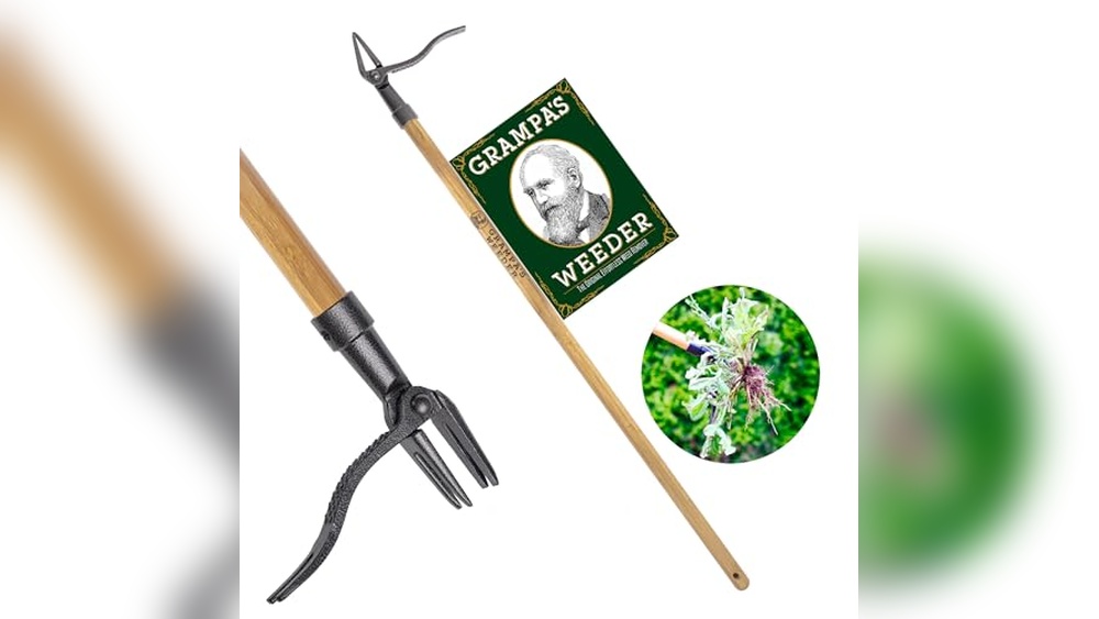 Best Tool To Remove Weeds From Large Area