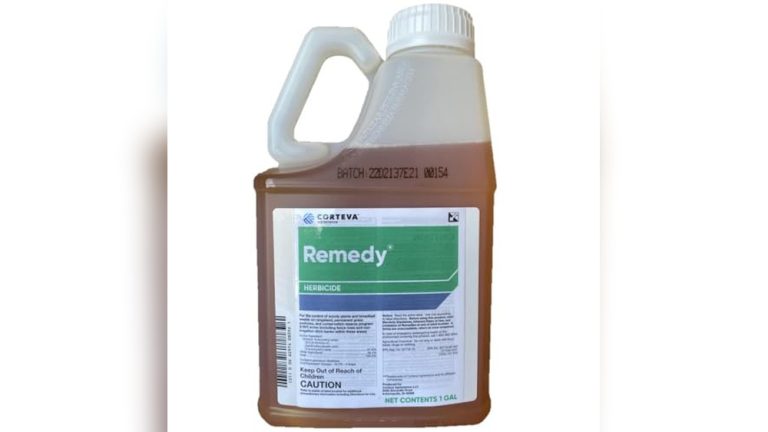 Best Weed And Brush Killer For Fence Rows