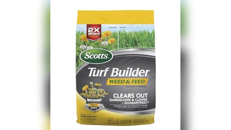 Best Weed And Feed For Tall Fescue