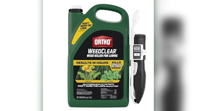 Best Weed Killer For Clover In Grass