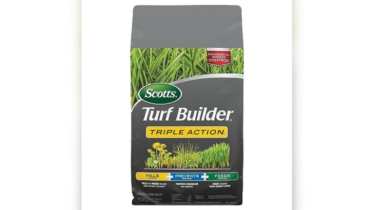 Best Weed Killer For Tall Fescue Grass