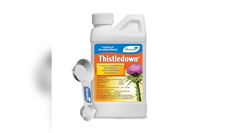 Best Weed Killer For Thistles In Lawn
