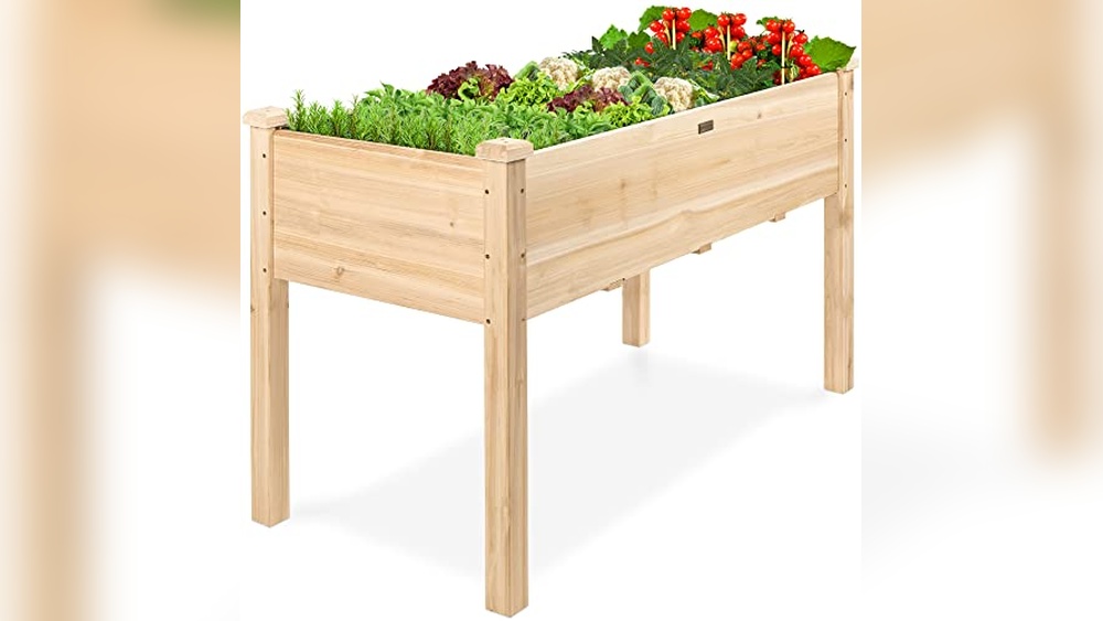 Best Wood For A Raised Garden Bed