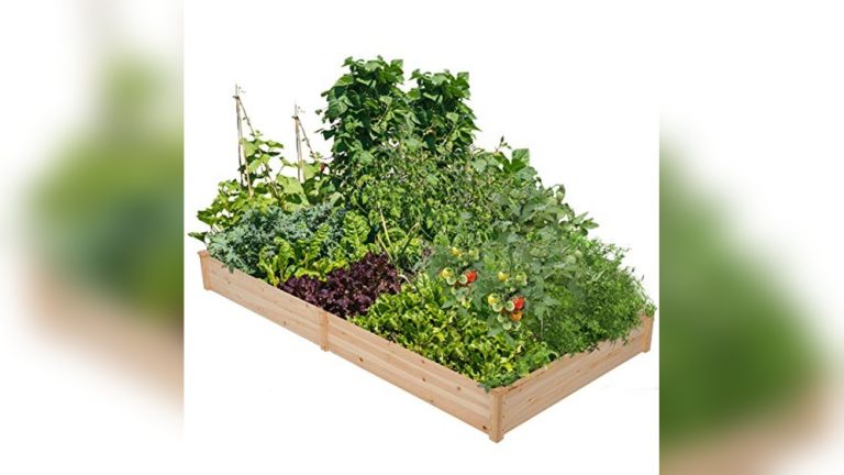 Best Wood To Use For Garden Beds