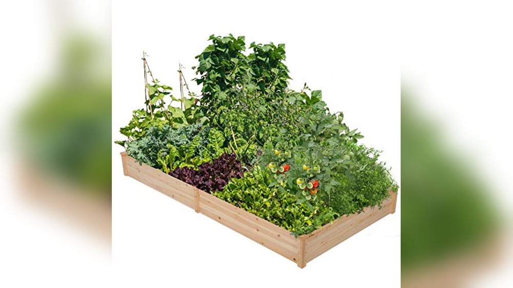 Best Wood To Use For Garden Beds