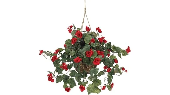 The image shows cascading begonias in baskets, perfect for a guide to the best 10 for hanging baskets.