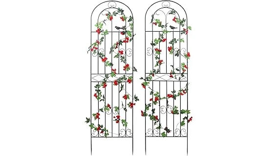 The image shows a vibrant climbing rose vine flourishing against a rustic wooden fence.