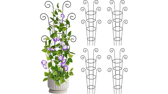 The image shows a lush climbing vine covering a garden trellis, perfect for the best 10 climbing vines for trellis.