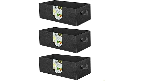 Best 10 Container for Growing Lettuce