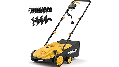 The image shows a person using a dethatcher to remove thatch from a St. Augustine grass lawn.