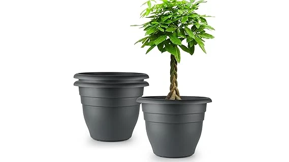 Best 10 Extra Large Pots for Outdoor Plants