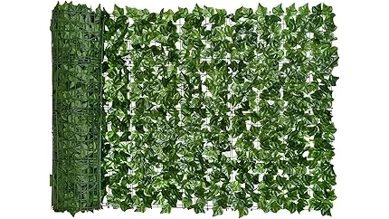 Best 10 Fast Growing Hedges for Privacy 2