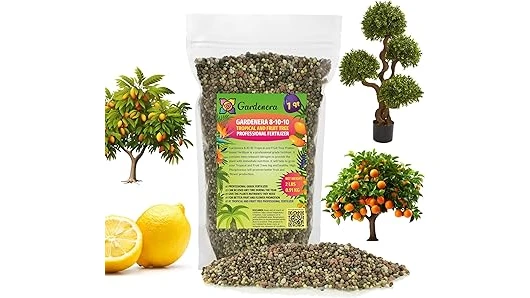 The image shows a lush banana plant with a selection of nutrient-rich fertilizers suitable for the best banana tree care.
