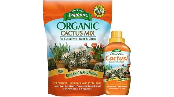 The image shows a vibrant Christmas cactus adorned with festive blooms, suggesting the best fertilizers for its care.