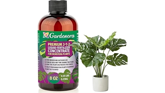 The image shows a vibrant Hawaiian Ti plant thriving with a recommended fertilizer, perfect for the best 10 options.