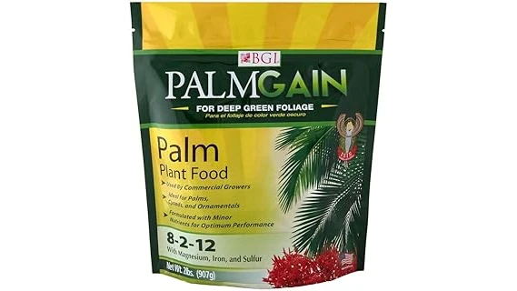 This image shows a lush, healthy Queen Palm tree in a garden setting, perfect for fertilizing.