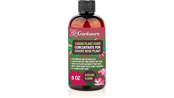 This image shows a gardener applying fertilizer to vibrant pink rose bushes after pruning.