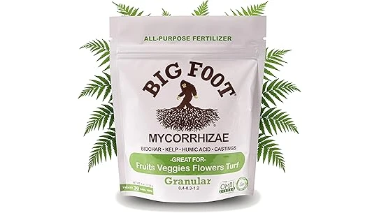 Best 10 Fertilizer to Use in Spring