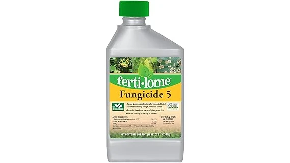 The image shows a close-up of a peach tree branch with healthy green leaves and ripe peaches.