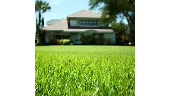 Best 10 Grass Seed for Pasture