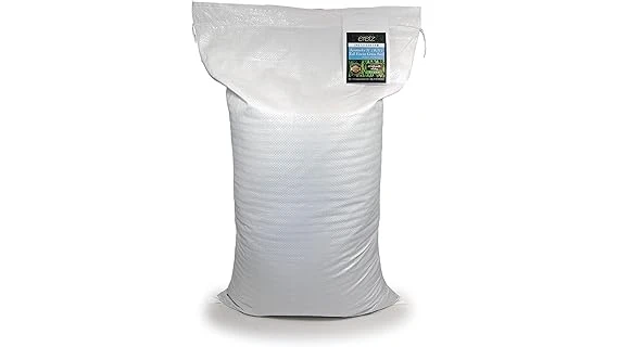 Best 10 Grass Seed to Plant in Winter