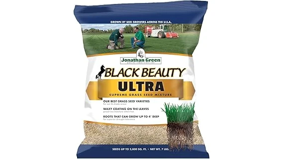 The image shows lush, green grass growing vibrantly in a shaded garden area, ideal for best grass seeds for shade.