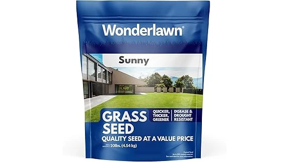 The image shows lush, vibrant green grass thriving under bright sunlight, perfect for direct sun.