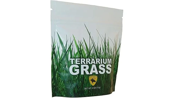 This image shows lush green grass growing vibrantly in sandy soil, perfect for the best 10 grass varieties.