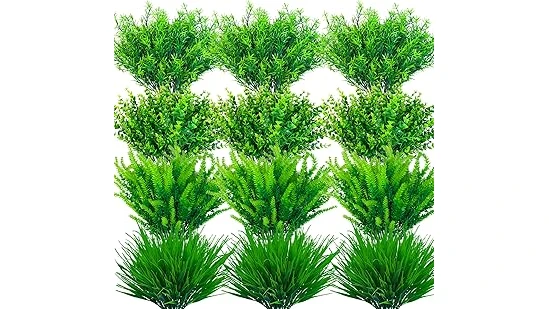 The image shows an assortment of lush green potted plants ideal for outdoor spaces, featuring the best 10 for pots.