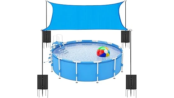 Best 10 Ground Cover for Shaded Areas