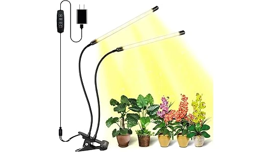 This image shows a small greenhouse filled with vibrant plants under bright, efficient grow lights.