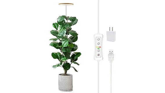 The image shows a bright grow light illuminating a lush tropical plant, perfect for the best 10 grow lights.