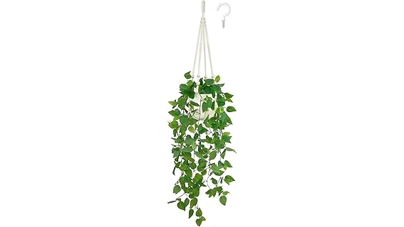 The image shows lush green hanging plants cascading gracefully, perfect for a top ten indoor plant list.