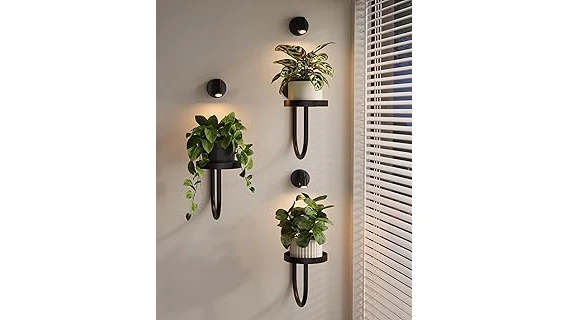 Best 10 Hanging Plants for Low Light Indoors